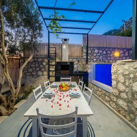 Hotel Therapy Aqua - Cocuk Havuzlu 4 Kisilik Kaş